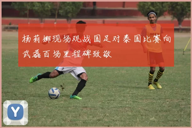 杨莉娜现场观战国足对泰国比赛向武磊百场里程碑致敬