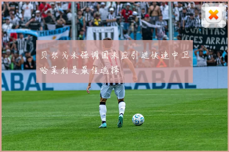 贝尔戈米强调国米应引进快速中卫哈莱利是最佳选择